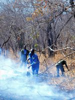 fire fighters Tukutela Safaris Zimbabwe