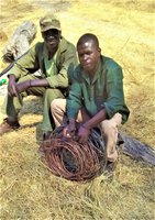 scouts anti-poaching Zimbabwe